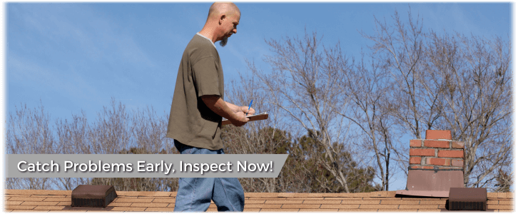Chimney and Fireplace Inspection Pflugerville TX
